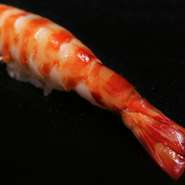 江戸前の握りなら、車海老は「ゆで」に限ります。活車海老にしっかり火を入れることで、旨みと甘みが際立ちます。