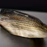 四季のある日本では一年を通して安定した味を提供することが職人技の見せどころ。小肌の味を決めるのは酢と塩のバランスと素材を寝かせる時間。文久元年創業の江戸前鮨店から伝わる伝統の技と味をお楽しみください。