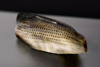 丁寧な仕事を施した『小肌』は鮨飯と合わせることで別物になる