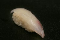 コチは軽く塩を当ててから昆布〆に。適度に水分が抜けたコチと昆布の旨みが融合し、格別の味わいです。