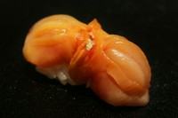 突出した旨味と清々しい香りが魅力の『赤貝』。噛みしめた途端にあふれ出す旨味を堪能できる逸品です。