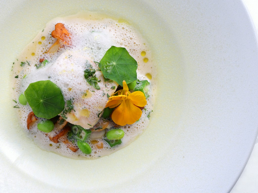 「フランス料理」ディナーコース