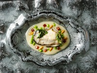 豊かな風味と、牡蠣をイメージしたお皿にも感動する『ピルピルソースと岩牡蠣』ディナーコースより