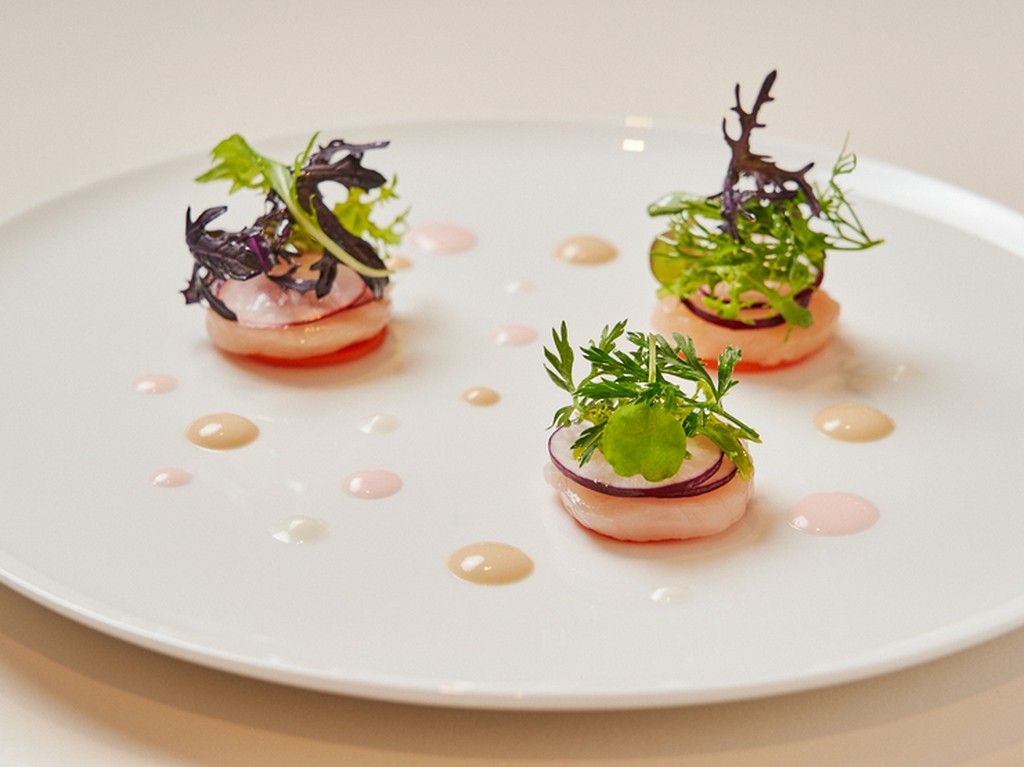 素晴らしい食材と発酵がもたらす軽やかな食後感