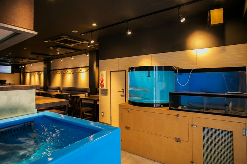 活魚がいきいき泳げるような、生け簀を店内に設置