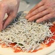 地元で水揚げされる新鮮な「長井の地ダコ」