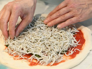 地元で水揚げされる新鮮な「長井の地ダコ」