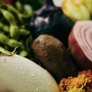 新鮮な野菜をそれぞれの調理法で。