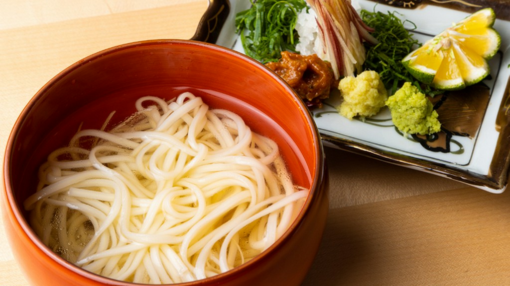 薬味うどん