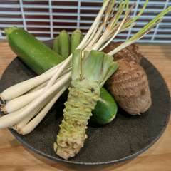 太陽の恵みをいっぱい浴びながら育てられた旬野菜の数々