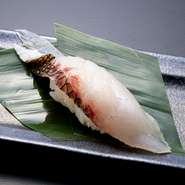 『白身の王様』である真鯛の天然モノは別格！