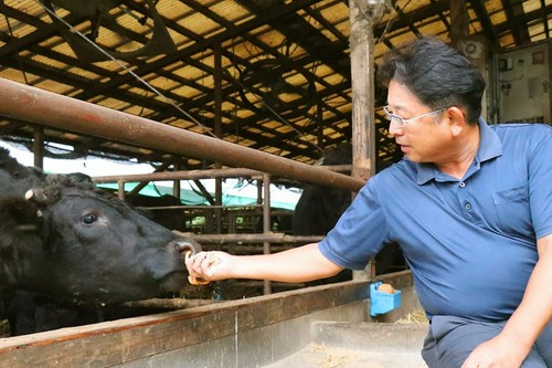 宮崎で尾崎宗春氏が育てる「尾崎牛」が人気