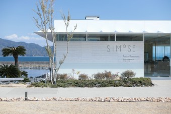 プリフィックススタイルで前菜 2 品、メイン料理 1 品を選べる３品仕立てのコースです。
