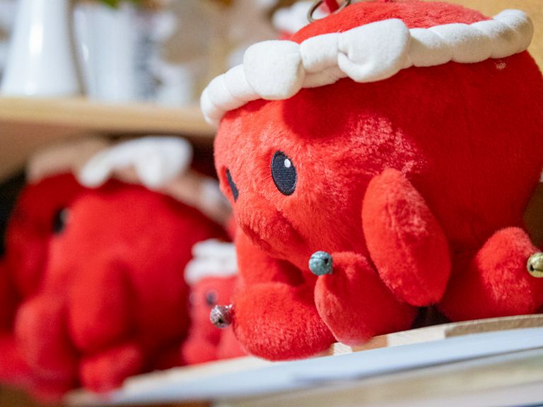 新鮮な大ぶりのものをこだわり仕入れ「マダコ」