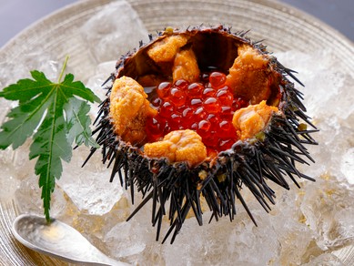 夏のわずかな時期のみ味わえる逸品『活ウニとイクラ』