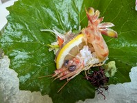 刺し・焼き・天ぷら
ご予約の際にお客様のご要望に応じて食材を仕入れる事が可能ですのでお気軽にお尋ねください。（電話予約のみ対応））