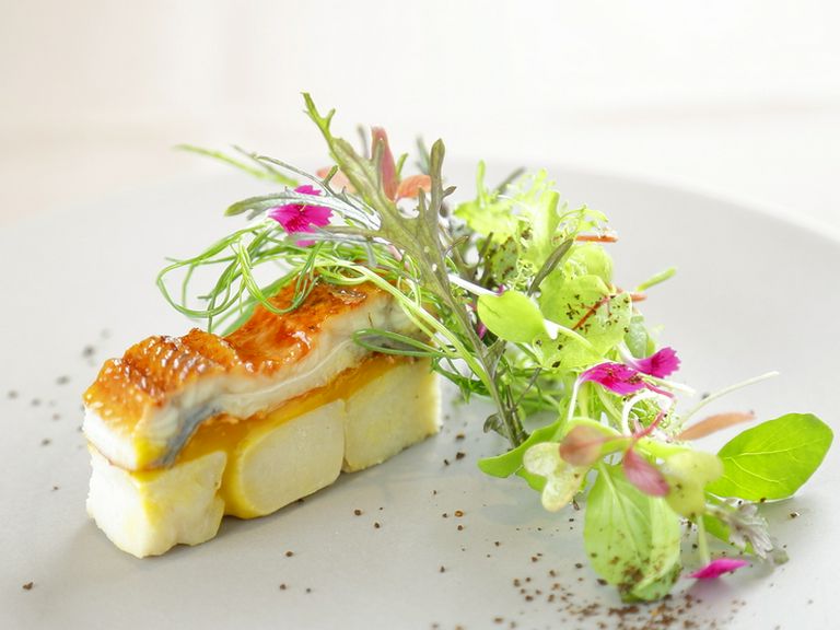 一つ一つの食材が持つ特性を大事にしながらつくりあげる「前菜」
