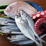 横浜中央市場から仕入れた鮮魚など、その日オススメの逸品が豊富に用意されています。特に魚料理は、お刺身をはじめ、煮魚、焼魚からあら汁に至るまで並び、毎日でも通いたくなるお店です。
