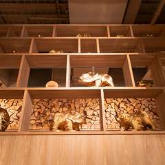 1,000頭の「木彫りの熊」が集まる北海道レストラン