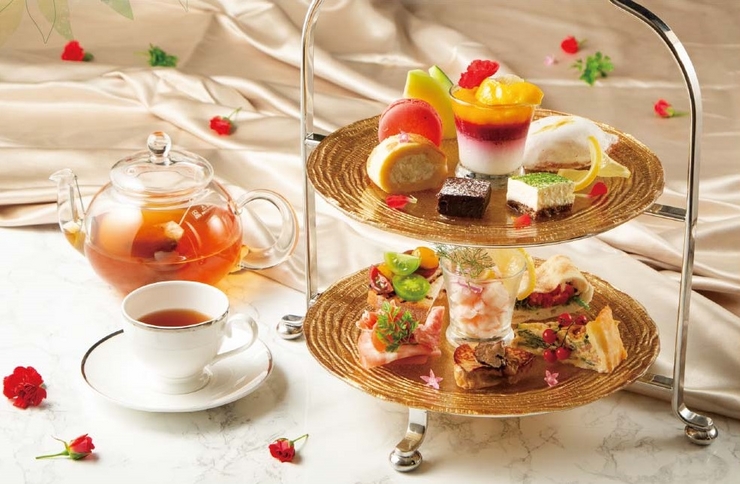 ☆ bữa trưa Regalo mới