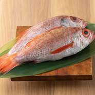 高級魚として知られる「のどぐろ」は、その時期にもっとも状態のよいものを仕入れるのがこだわり。皮目をパリッと焼き上げた『塩焼き』、秘伝のレシピでつくる『煮つけ』がそろい、思わずお酒が進みます。