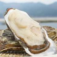 その時期もっとも美味しい産地から届く漁師直結のこだわり牡蠣
※詳しくは店舗のおすすめにて