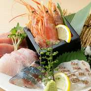 料理人のイチオシメニューなのが魚介を使ったメニューです。中でも新鮮さをダイレクトに味わえるお刺身は、特にオススメ。鮪や白身魚、海老などをバランス良く取り入れています。