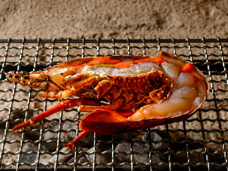 超絶美味!「刺し・蒸し・焼き・揚げ」で楽しむ『伊勢海老料理』