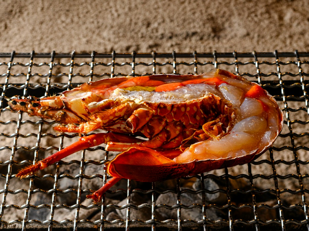 超絶美味！「刺し・蒸し・焼き・揚げ」で楽しむ『伊勢海老料理』