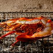 古来より祝い膳に重宝される伊勢海老は上品な甘みと旨み、ぷりぷりの食感と弾力など、まさに特別な食材。その逸品素材を味わい尽くせる多彩な料理を用意。コースorアラカルトで柔軟に楽しめるのもうれしい点！