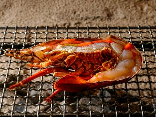 Robata (吕者堂) 银座本店