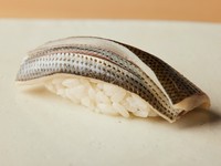 江戸前鮨を食べるなら、やはり外せない『熊本県天草産　小肌』