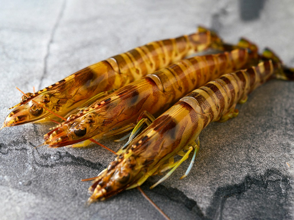 生で味わえるほどの新鮮さを大切に、さまざまな食材を厳選