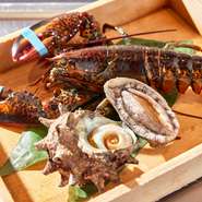 活のオマールや鮑など、贅沢な素材がスタンバイしています。シェフが目の前に魚介を提示してから調理をスタート。カウンターでは活きの良さを見ることができます。