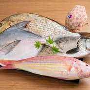 山下氏は「旬の食材を通して、食べて健康になる喜びを感じていただれば嬉しい」と、話します。一部の魚介は九州と高知から、徳島からは山菜や野菜などを直送。日本各地からさまざまな食材を仕入れています。