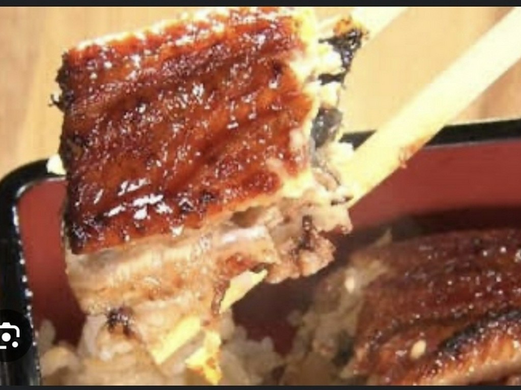 もと山のうなぎ