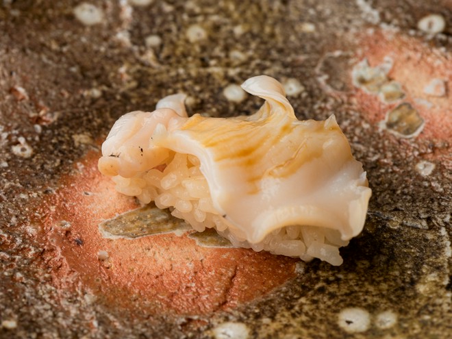 食材にこだわっている