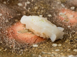 「天然のいけす」富山湾が育む、新鮮＆最上質な魚介が集う