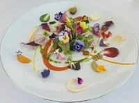 風土の物語を香りと味わいで旅する至福の一皿『九州野菜』