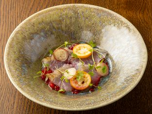 Refugeforestiere 고시마