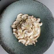 北海道の有機農法のフレッシュなマッシュルームをふんだんに使用。トリュフ香るクリームソースがパスタとよく合います。