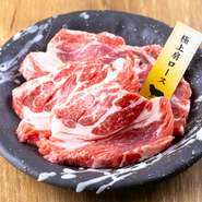 柔らかく、食べ応えのある人気メニュー。穀物の餌を与えた羊は、ラム肉の特有の臭みが抑えられ、逆に肉の風味が増します。そのため、より豊かな味わいが楽しめるのがこの一皿です。