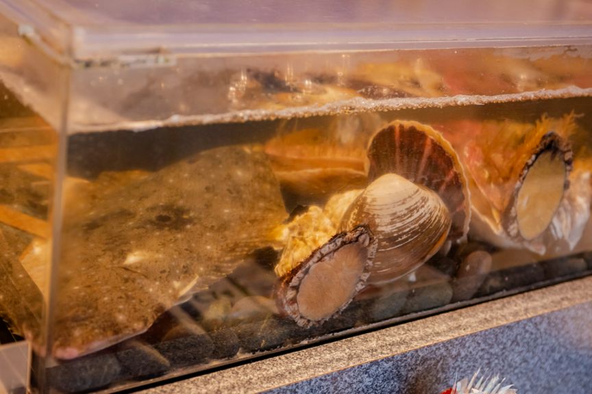 魚介の鮮度を保つため、素早く調理を行い料理を提供