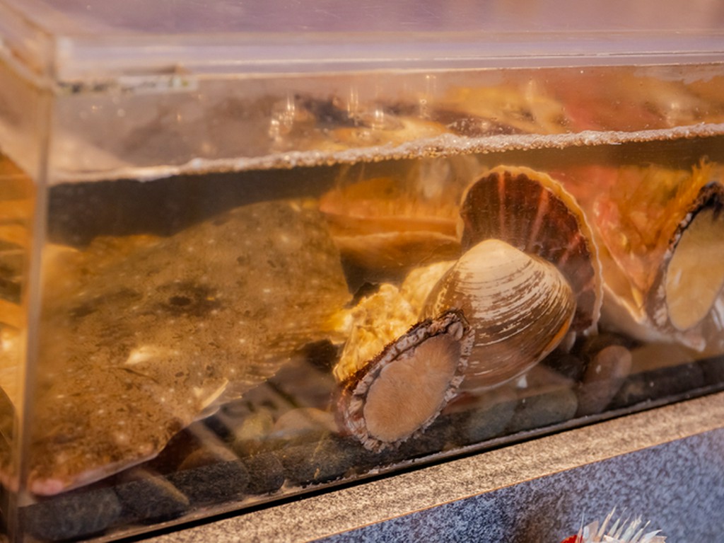 魚介の鮮度を保つため、素早く調理を行い料理を提供