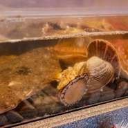 厳選した新鮮な生のネタにこだわります。修業時代に学んだ技術を大切にし、ネタの目利きにも自信を持つ料理人。親方が行っていたことを受け継ぎ、食として再現しています。