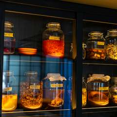 発酵で時を経て迎えた“旬”×フレッシュなとれ立ての“旬”