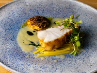 発酵による上品な旨み、甘み、苦みが寄り添う『兵庫県柴山港 九絵 発酵みかん インカのめざめ』