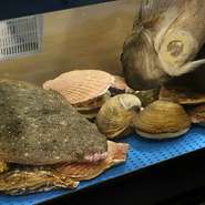 水槽から取り出し活きた状態で捌かれる魚介類は、その鮮度と風味を最大限に引き出します。『刺身』として食べることはもちろん、『天ぷら』にしても絶品。衣の軽い食感と、魚介の旨みが広がります。