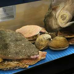 活きた魚介を調理することで、食材本来の風味とおいしさを実感