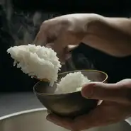 コースの始めに提供されるご飯は、お米のプロフェッショナルがお肉に合わせて監修したこだわりの逸品。粗い方や浸水時間でも変化する、一粒一粒のおいしさ。料理人曰く、その繊細さにこそ面白みがあるとのこと。